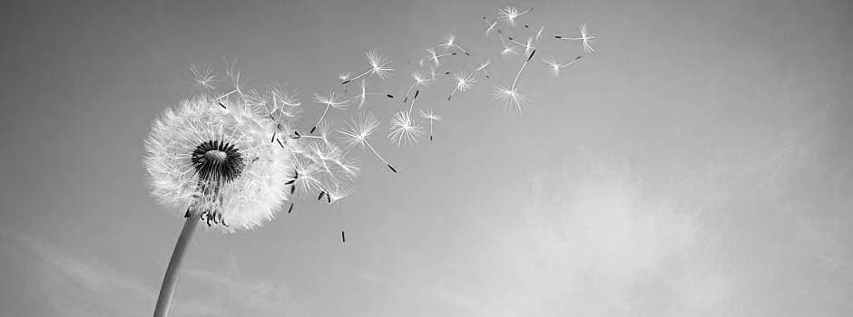 How Life Can Change in a Moment, Part 2 cover