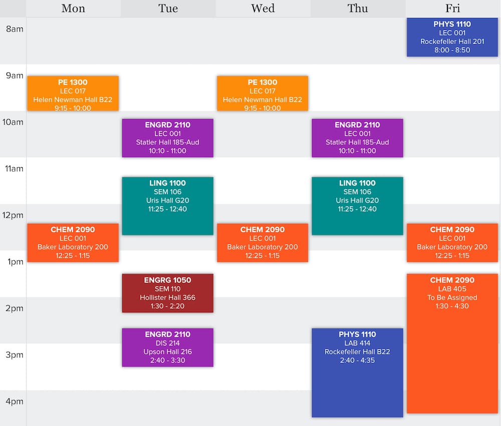 Reflecting on my First Semester at Cornell cover