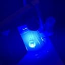 Effect of Blue Light on Planarian Sleep logo