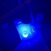 Effect of Blue Light on Planarian Sleep logo